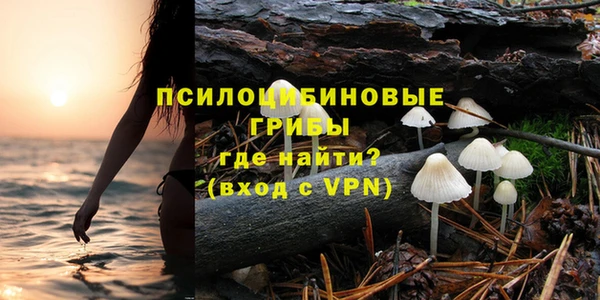 гидропоника Карпинск