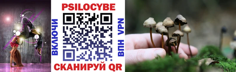 MEGA как войти  это состав  Псилоцибиновые грибы Psilocybe  Лесозаводск 