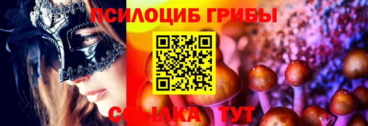 Лесозаводск  Псилоцибиновые грибы мицелий  Вход с VPN 